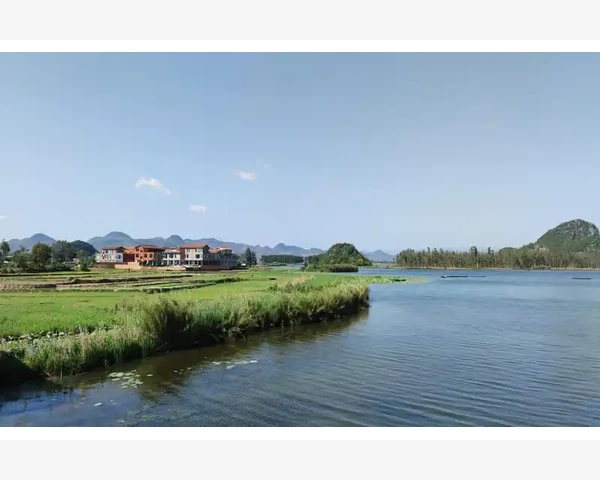 脸部长黑头怎么调理？黑头问题的解决之道